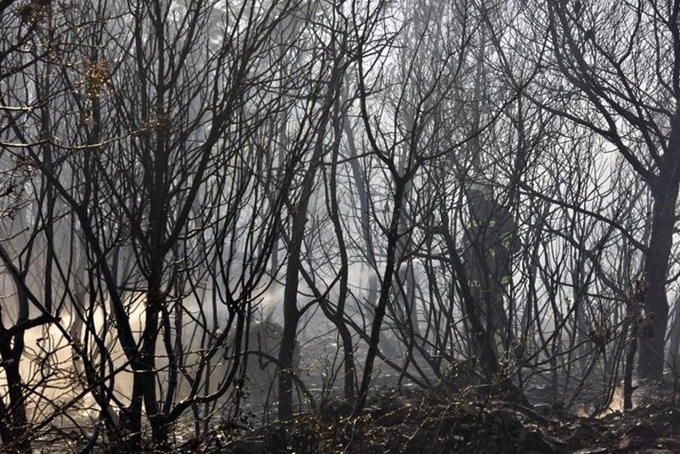 Kiša ugasila požar na Dinari u BiH koji je 20 dana palio sve pred sobom