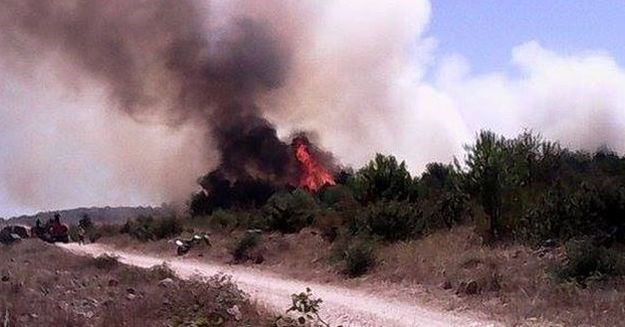 Požar kod Biograda: Jak vjetar otežava gašenje, vatra na 100 metara od kuća