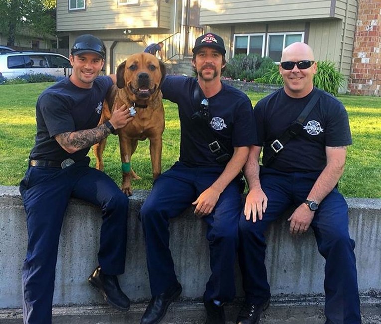 Hrabri vatrogasci ušli su u goruću kuću kako bi spasili ovog psa
