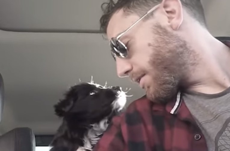 VIDEO Čovjek je pronašao dva psića nasred ceste i odlučio je napraviti nešto genijalno