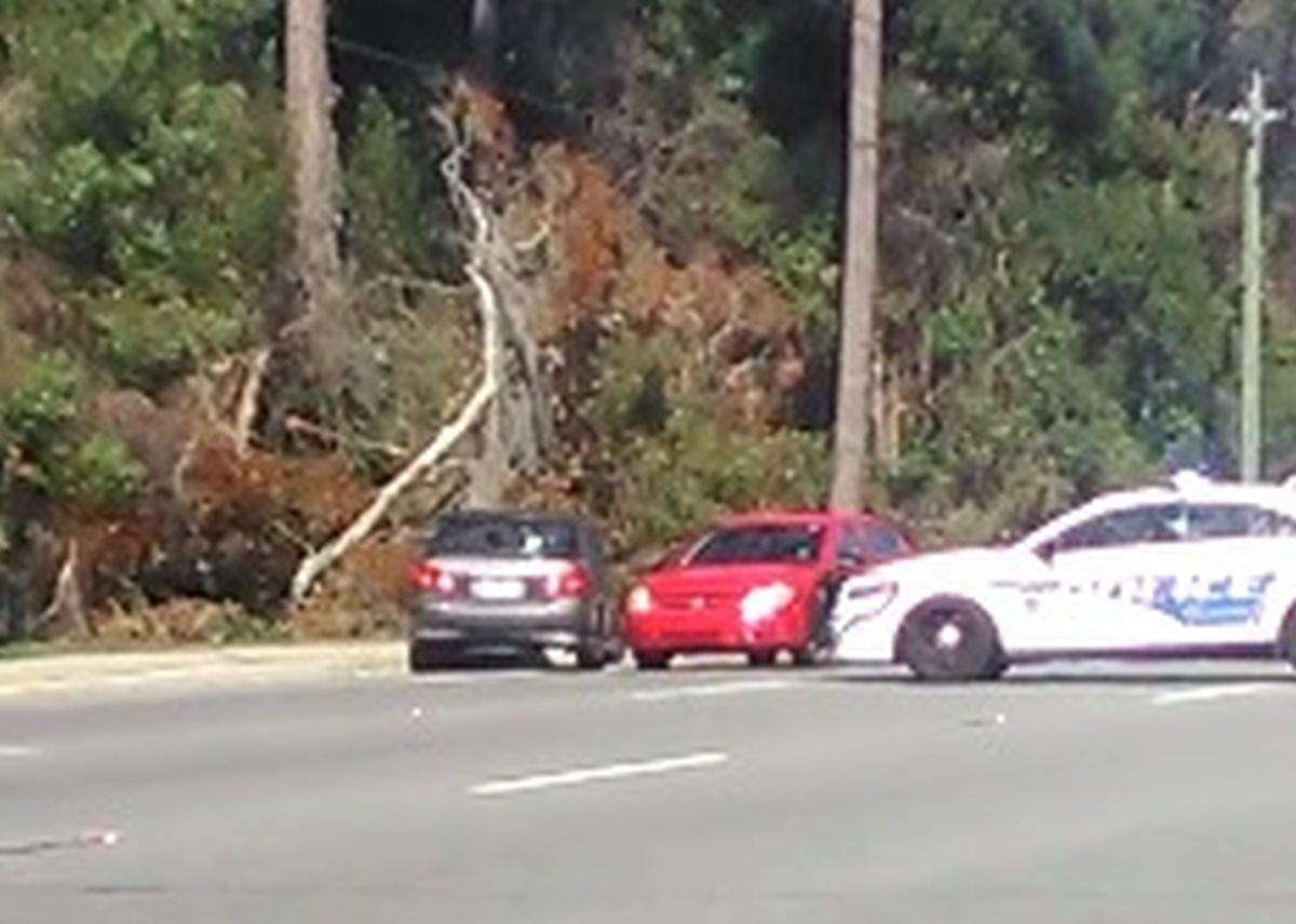 VIDEO Ovakvu policijsku potjeru sigurno niste nikada u životu vidjeli