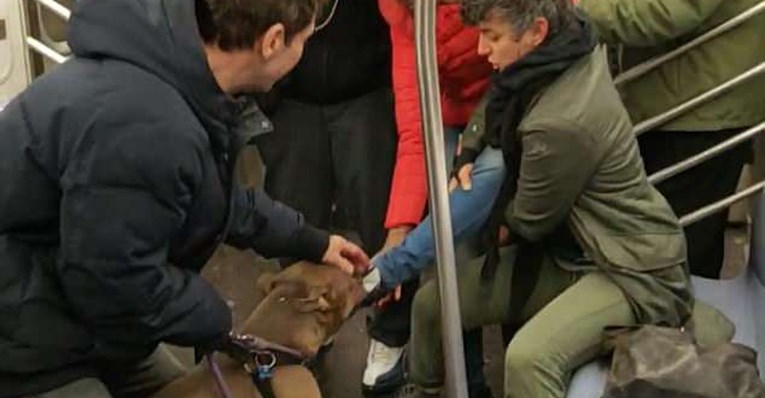 Šokantan trenutak u podzemnoj: Pit bull vukao ženu za cipelu i odbijao je pustiti