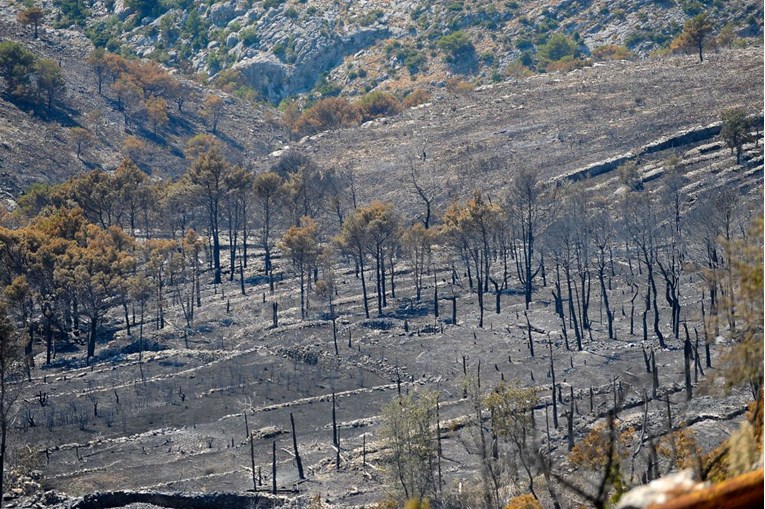Spriječeno širenje požara prema Nacionalnom parku Krka