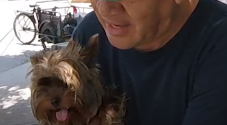 VIDEO Hrabra biciklistica napravila je nešto nevjerojatno kako bi spasila psa koji je jurcao cestom