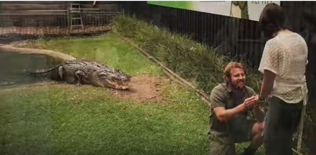 VIDEO Zaprosio djevojku dok ih je vrebao gladni krokodil