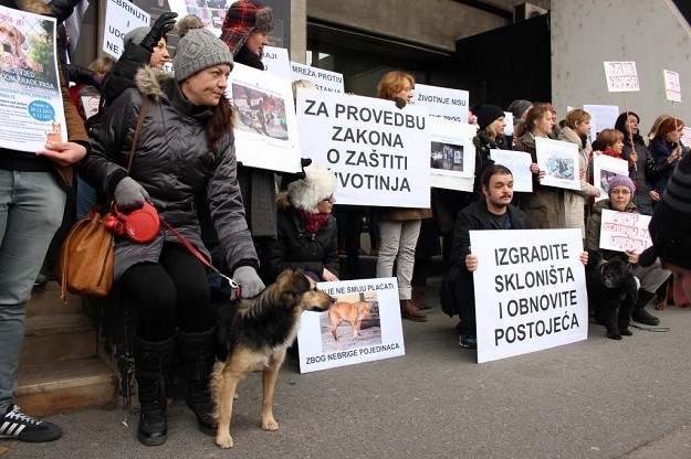 "Dosta je bilo nepoštivanja Zakona o zaštiti životinja"