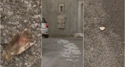 PSI POLUDJELI U Sloveniji greškom ulice posipali solju s komadima pršuta i srdela
