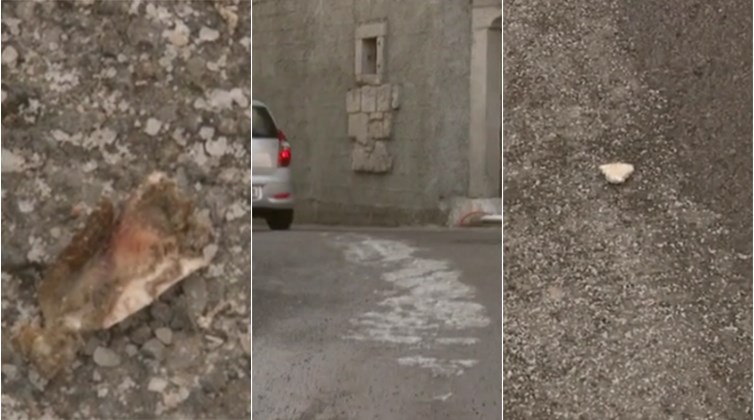 PSI POLUDJELI U Sloveniji greškom ulice posipali solju s komadima pršuta i srdela
