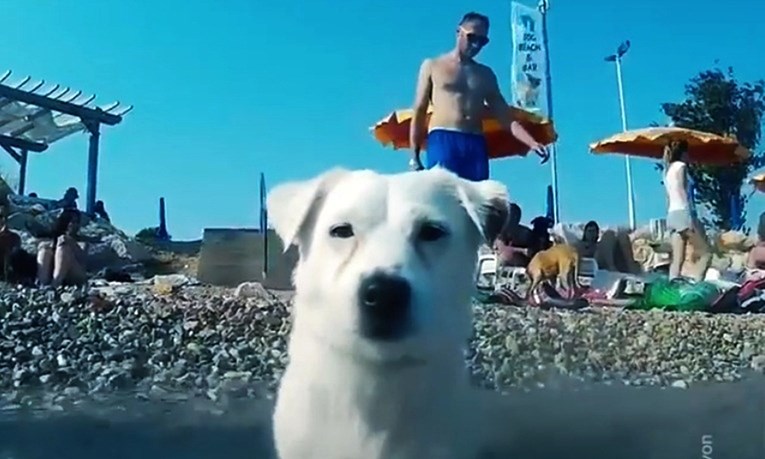 Poznata web stranica proglasila je ovaj beach bar u Hrvatskoj rajem za pse