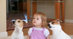 Psi&djeca: Pogledajte kako se psi brinu o najmlađima