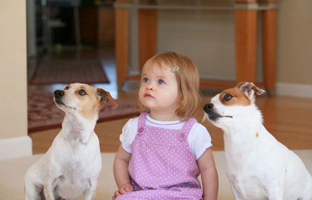 Psi&djeca: Pogledajte kako se psi brinu o najmlađima