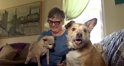 VIDEO Glumili su provalnike kako bi vidjeli hoće li psi obraniti svoje vlasnike