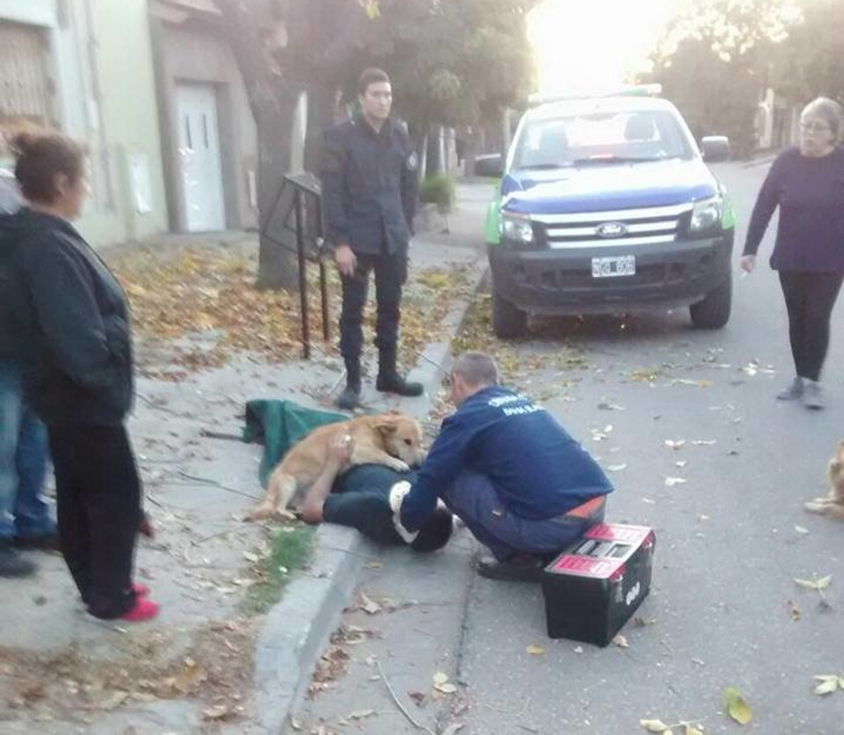 Psić se nije htio maknuti od ozlijeđenog vlasnika sve dok se nije uvjerio da je u redu