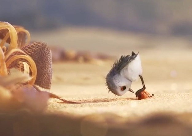 VIDEO Zaljubit ćete se u ptičicu iz Pixarova najnovijeg kratkog animiranog filma