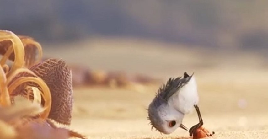 VIDEO Zaljubit ćete se u ptičicu iz Pixarova najnovijeg kratkog animiranog filma
