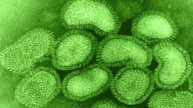 WHO upozorava: Pandemija gripe i dalje je opasnost za svijet