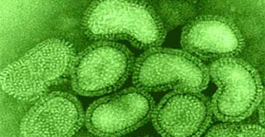 WHO upozorava: Pandemija gripe i dalje je opasnost za svijet