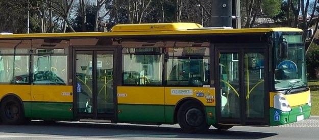 Prvo joj izdao kartu bez računa pa je izbacio iz autobusa zbog psića