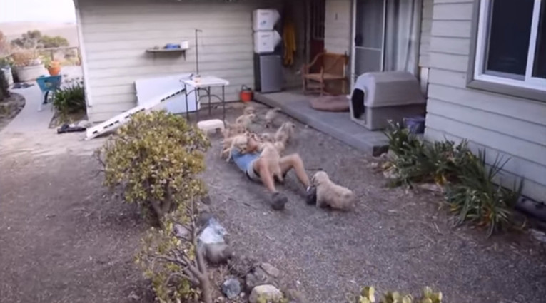 VIDEO Sedam tjedana stari štenci "napadaju" svog vlasnika