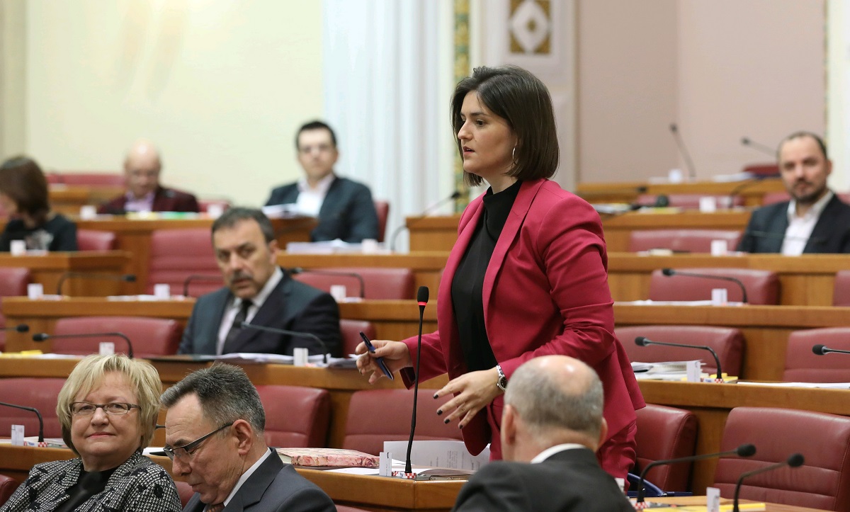 HNS-ovka upozorava na govor mržnje zbog Istanbulske konvencije