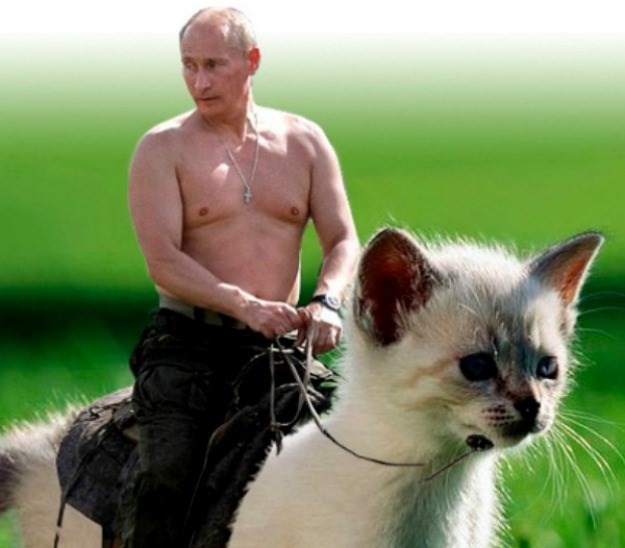 Rusija zabranila fotomontaže na kojima Putin jaše divlje i druge zvijeri