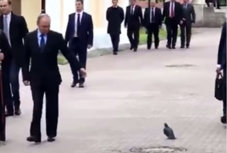 Golub pozdravio Vladimira Putina, internet poludio (ali se i brzo razočarao)