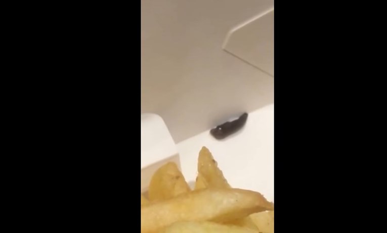 Žena u francuskom McDonald`su umjesto krumpirića pojela puža