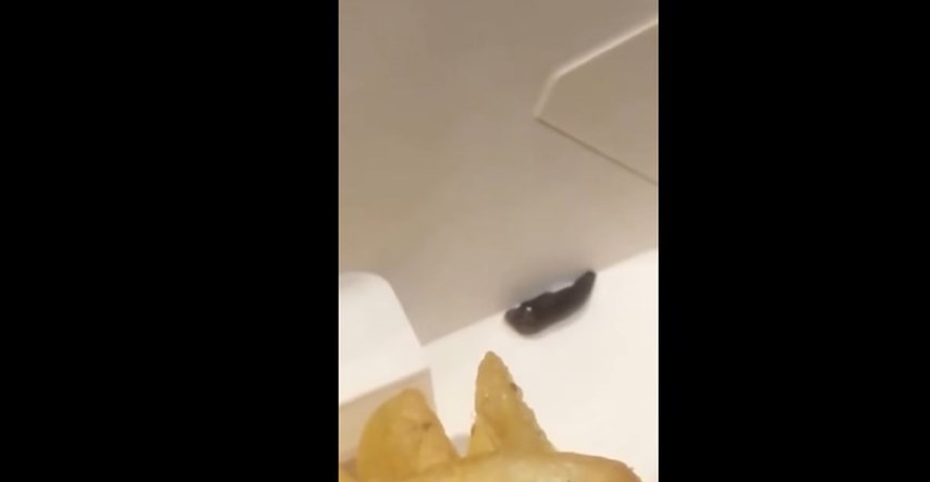 Žena u francuskom McDonald`su umjesto krumpirića pojela puža