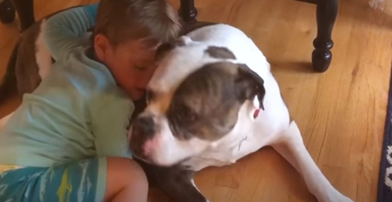 VIDEO Maleni dječak tješio je svog psa za vrijeme grmljavine na najslađi način