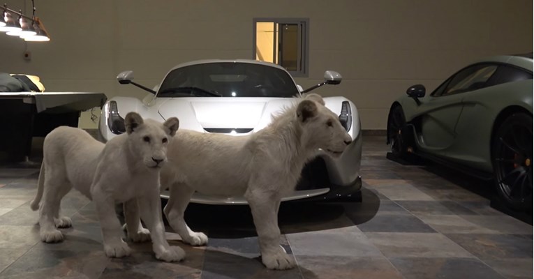 Život u izobilju: Kolekciju hiperautomobila katarskog bogataša čuvaju bijeli lavovi