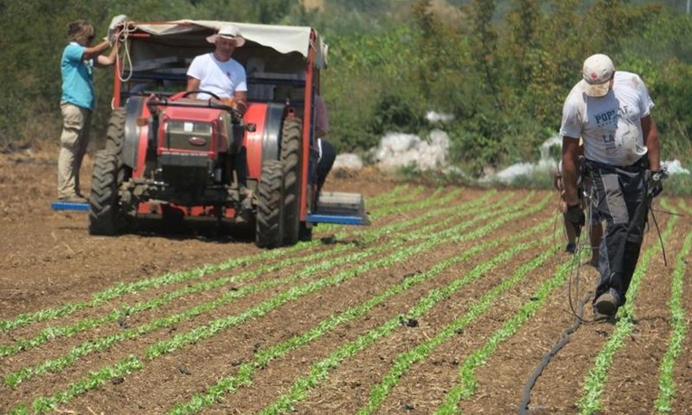 FOTO Dok uhljebi ljenčare, radnici u Splitu obrađuju zemlju na +40