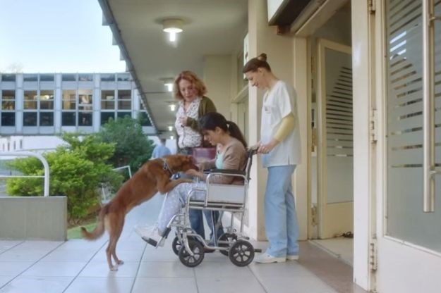 Reklama koja je rasplakala svijet: Čekao je vlasnika ispred bolnice, a onda je izašla ona