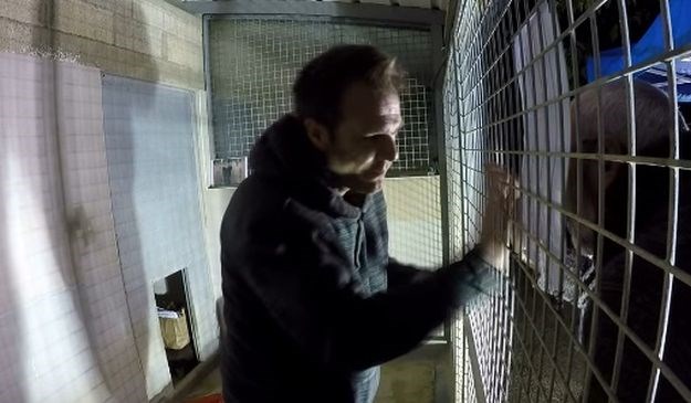 VIDEO Pogledajte kako je izgledao boravak Remija Gaillarda u kavezu s psima