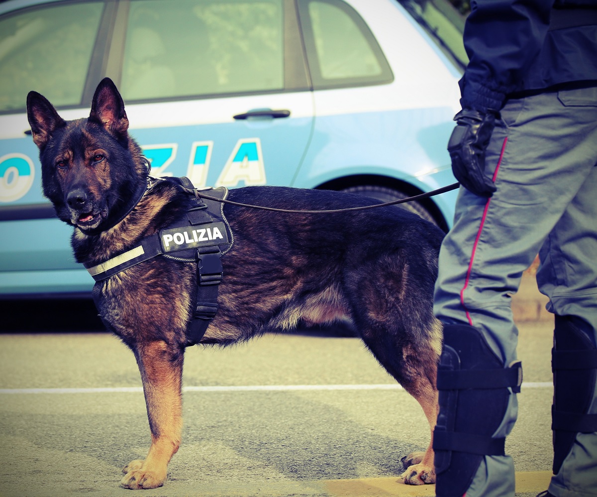 Bosanac iz Francuske s dva kilograma TNT-a krenuo prema Hrvatskoj, uhapsili ga u Italiji