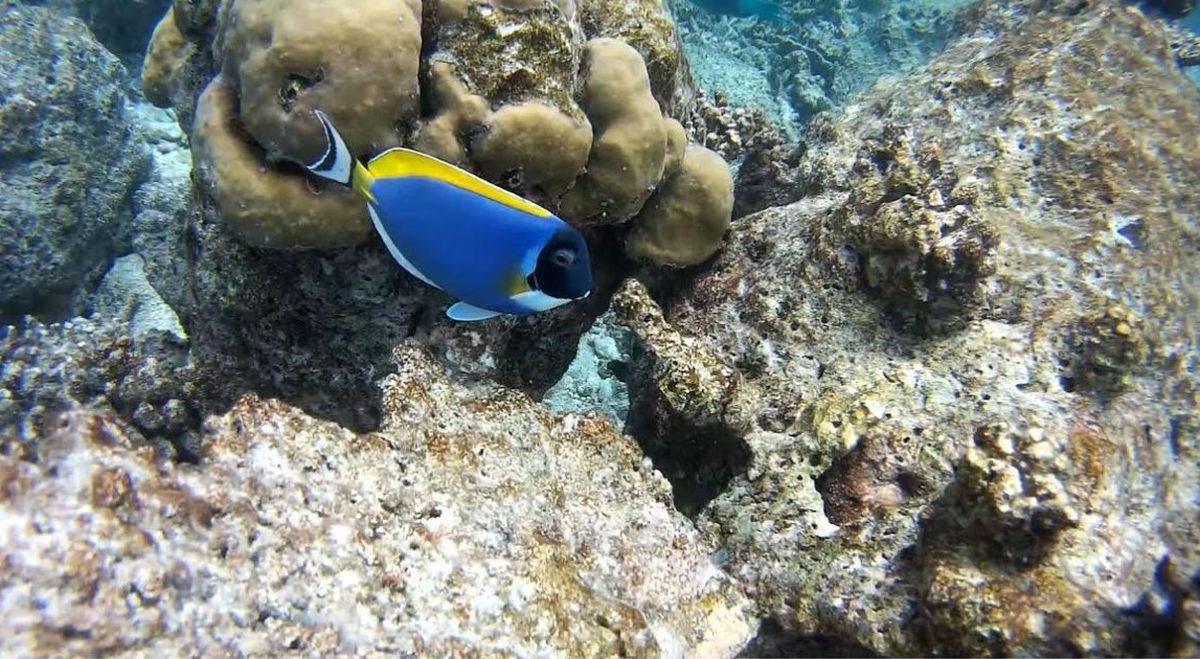 EKSKLUZIVNE SNIMKE Što je Indexovog novinara oduševilo, a što šokiralo u raju na Zemlji?