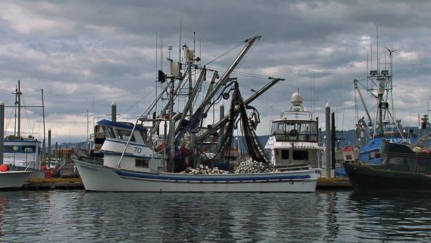 Uništavanje ili prenamjena brodova: Sutra započinje zaprimanje prijava za trajnu obustavu ribolovne aktivnosti