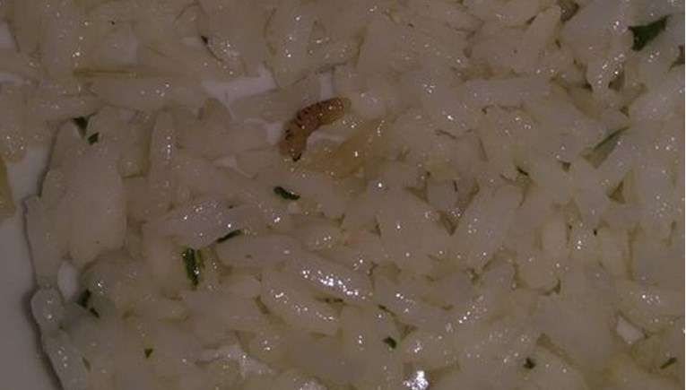 Trudnici u KBC-u Split za večeru poslužili crva u riži