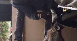 VIDEO Čovjek je spasio život rakunu koji se gušio u garaži