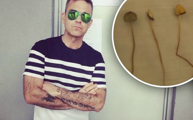Robbie Williams podijelio najluđe iskustvo s drogama: "Bio sam kod Bonoa Voxa i pojeo gljive..."