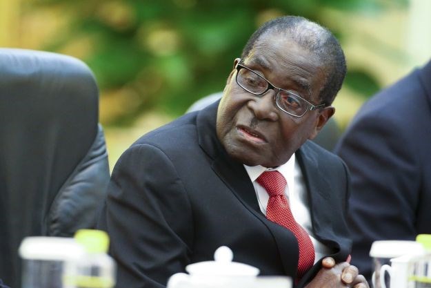 Slonovi, bizoni i lavovi samo su dio slavljeničkog menija Roberta Mugabea
