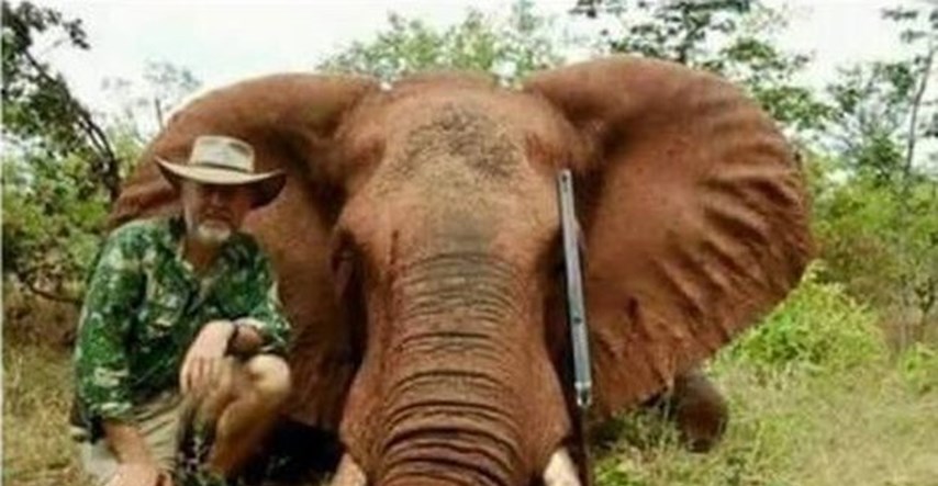VIDEO Političar Robert Borsak: Ubio sam i pojeo slona, to je moje ljudsko pravo