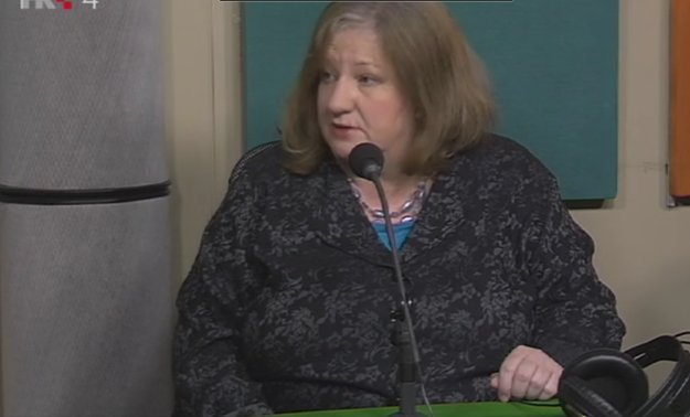 HNS i SDP ne slažu se u detaljima oko izmjene izbornog zakona