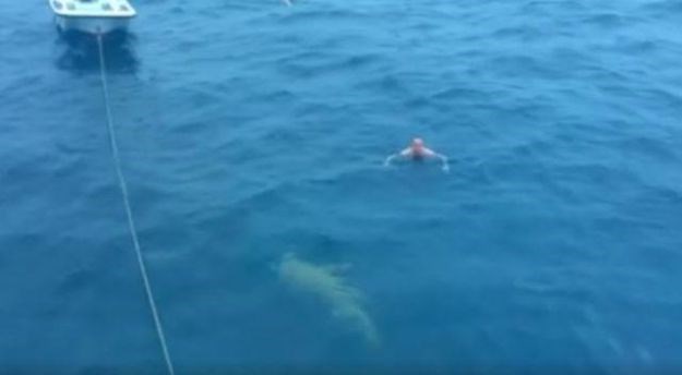 Rus bezbrižno plivao pa naletio na morskog psa: Njegova reakcija šokirala je svijet