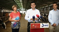 Ruža Tomašić i HDSSB zajedno na izbore: "Od Srbije treba tražiti ratnu odštetu"