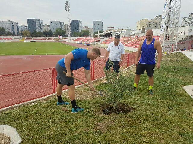 FOTO Olimpijski pobjednik iz Rija u Splitu zasadio maslinu nazvanu po njemu