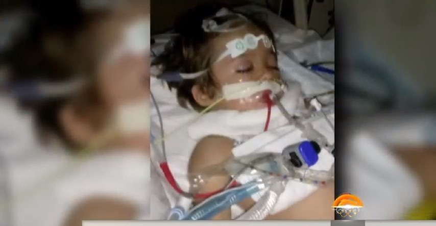 Šestogodišnji dječak u Floridi umro od bjesnoće: "Nije htio ići u bolnicu"