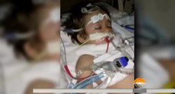 Šestogodišnji dječak u Floridi umro od bjesnoće: "Nije htio ići u bolnicu"