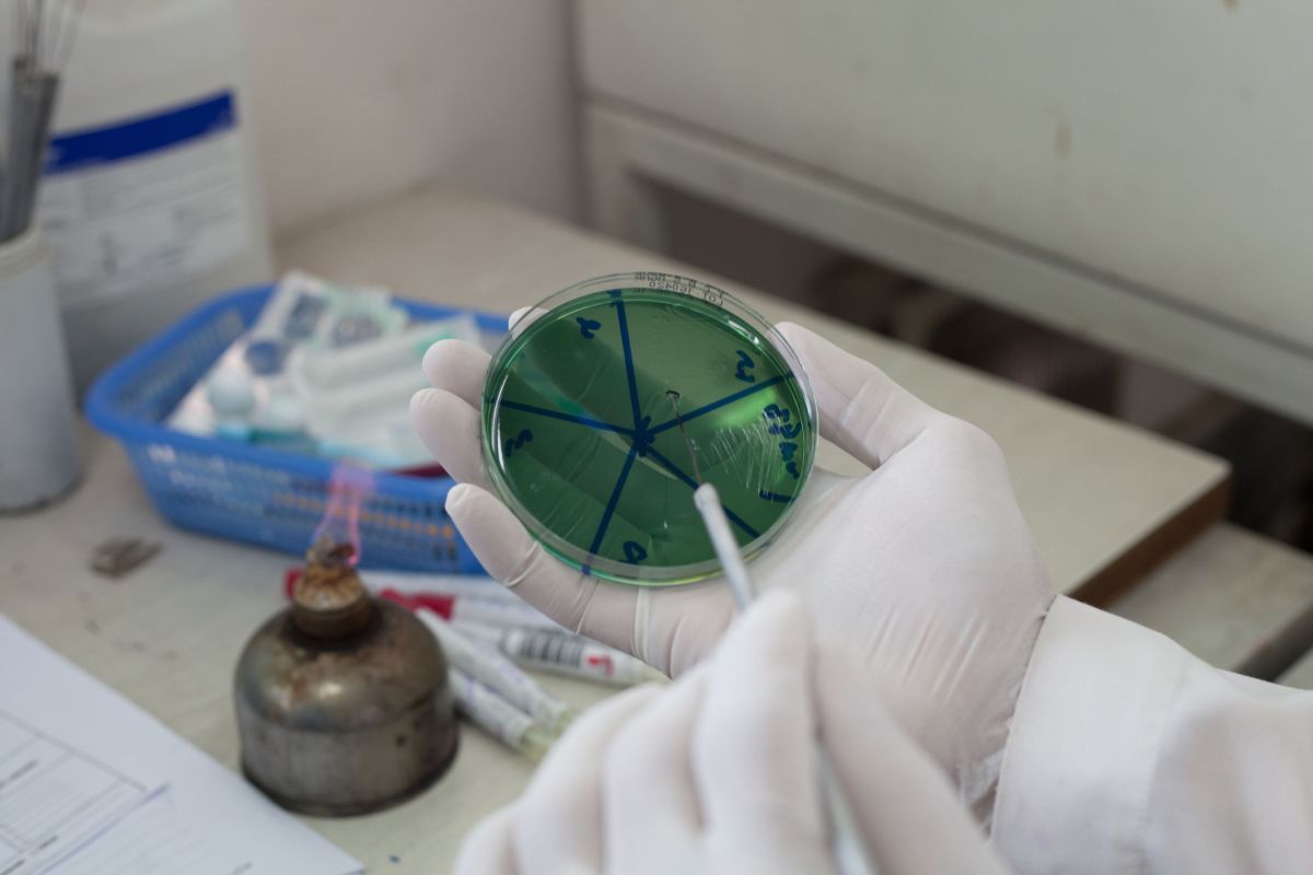 Zbog salmonele s polica Lidla povučena dimljena slanina