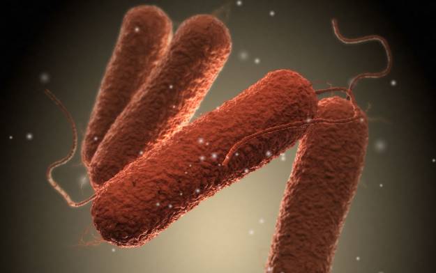 Epidemija salmonele u pulskim vrtićima, zaraženo 17 djece, još nije utvrđen izvor zaraze