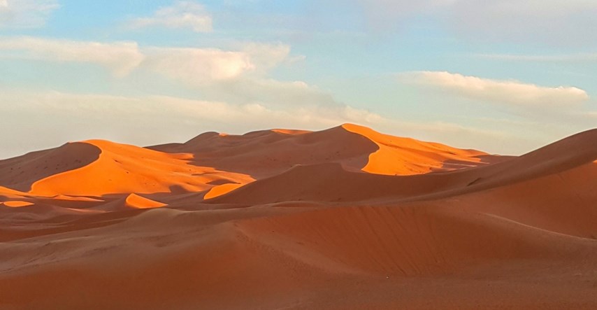 Prve ikad snimljene fotografije pustinjskih mačića su apsolutno očaravajuće!
